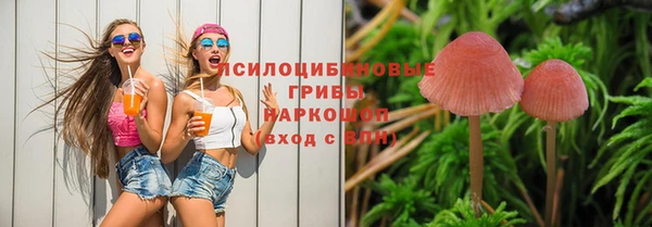 герыч Болотное