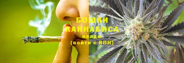 хмурый Богородск