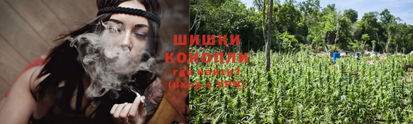 молекула духа Беломорск
