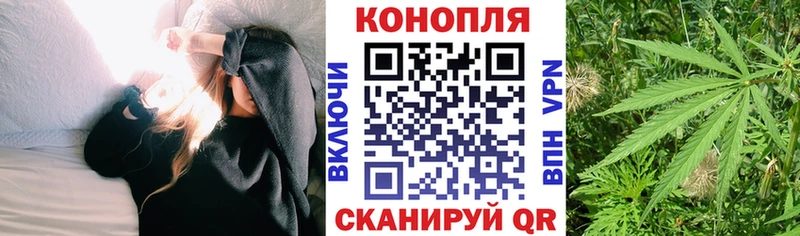 МАРИХУАНА семена  дарнет шоп  Гудермес 